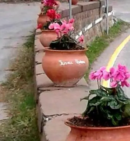 The Flowers Appartamento *
